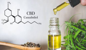 How to Franchise a CBD Business