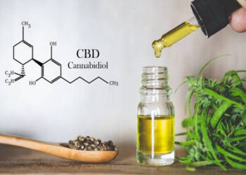 How to Franchise a CBD Business