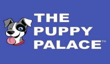 The Puppy Palace: A Strong Pet Retail Franchise Model