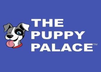 The Puppy Palace: A Strong Pet Retail Franchise Model