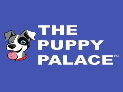 The Puppy Palace: A Strong Pet Retail Franchise Model