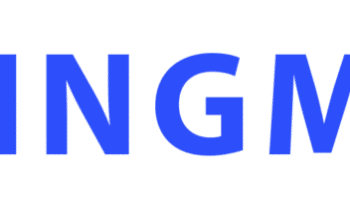 Wingman Planning Digital Marketing Franchise System Launch