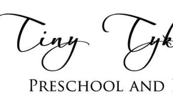 Tiny Tykes Inc. Value of the Franchise