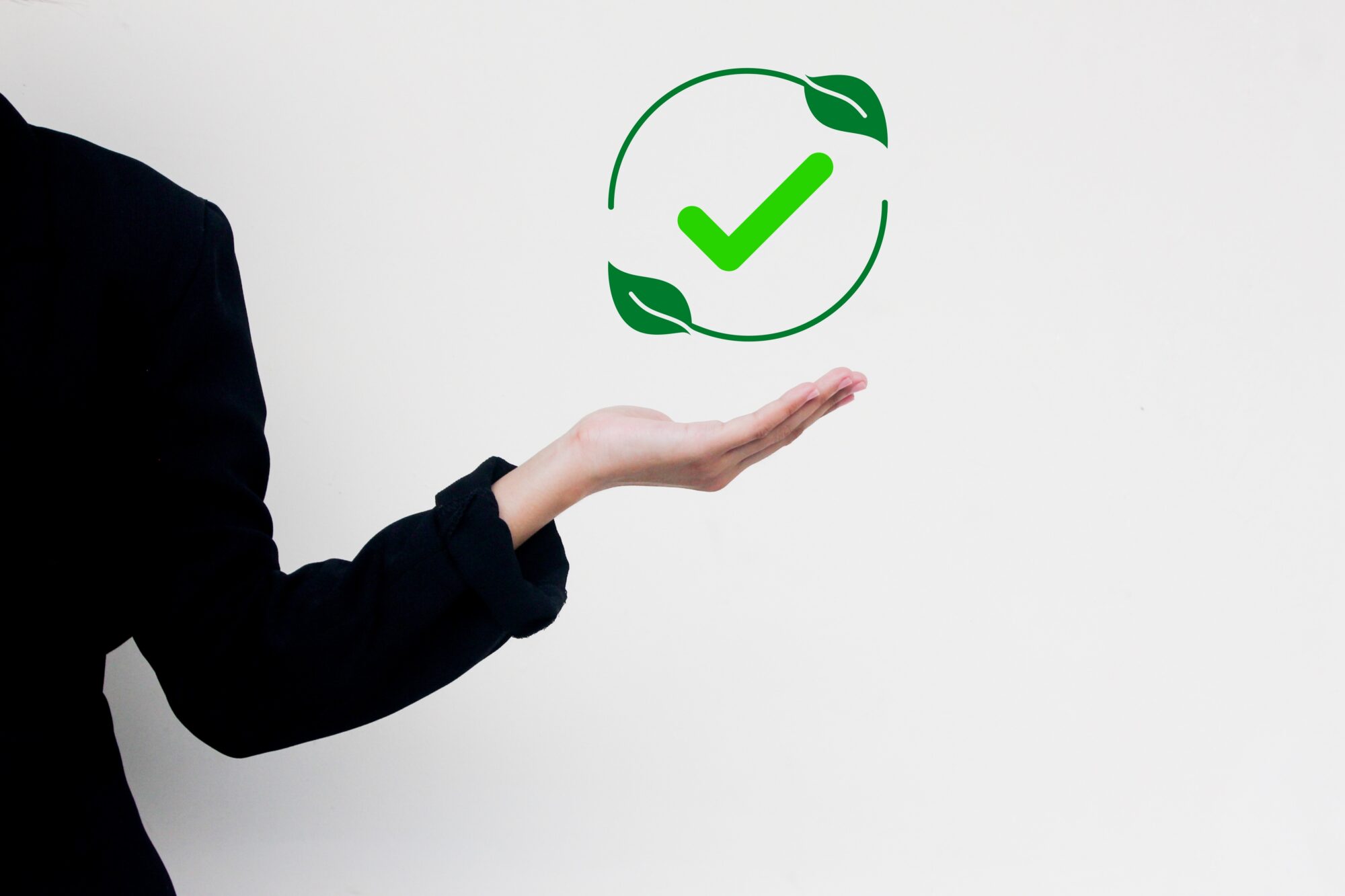 Franchise Brand Value Growth